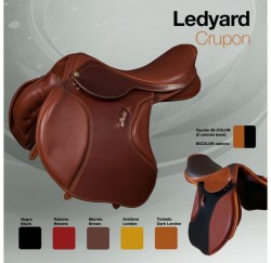 00158 Ledyard
