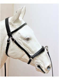 00309 Portuguese Presentation Halter