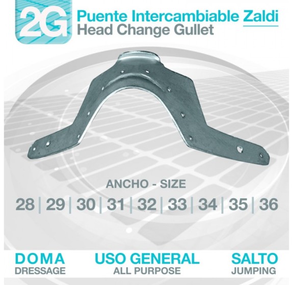 00919  ZALDI 2G INTERCHANGEABLE BRIDGE