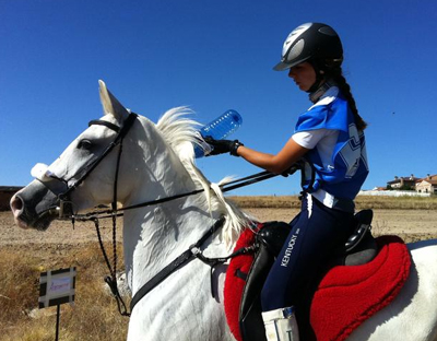 ENDURANCE SADDLES